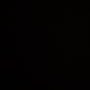 Meet your Posher, Maya